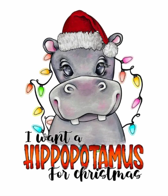 I Want A Hippopotamus For Christmas Crew Neck Sweatshirt